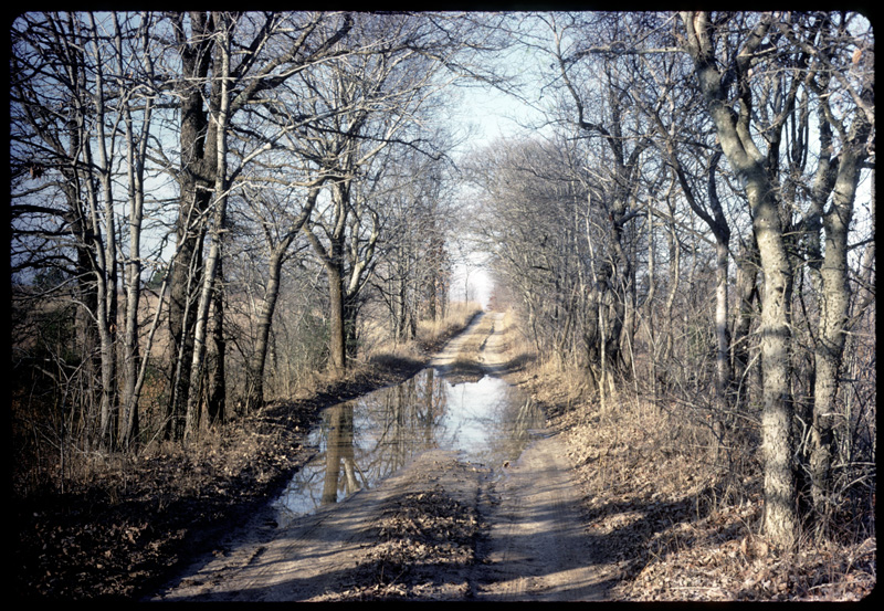 Lousiana Dirt Road, 1973